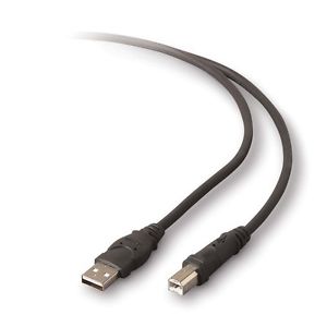 10' USB Cable F3U133b10-BKST