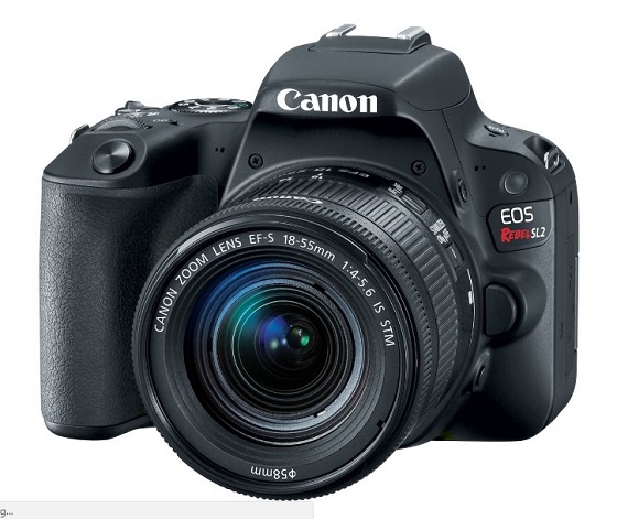 EOS Rebel SL2 24.2 Megapixel Compact DSLR Camera w/18-55mm IS STM Lens *FREE SHIPPING*