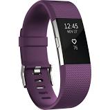 Charge 2 Heart Rate + Fitness Wristband (Plum, Large)  *FREE SHIPPING*