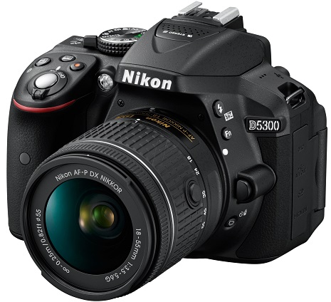D5300 24.2 Megapixel, 3.2 Inch Vari-Angle LCD Digital SLR Camera with AF-P 18-55mm G VR Zoom Lens Kit - Black *FREE SHIPPING*